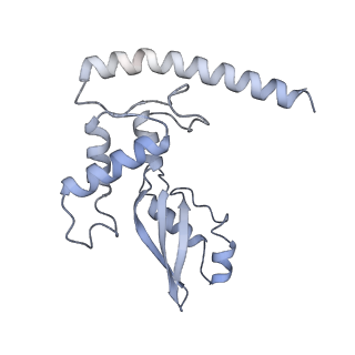 21233_6vlz_J_v1-2
Structure of the human mitochondrial ribosome-EF-G1 complex (ClassI)