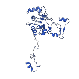 21233_6vlz_M_v1-1
Structure of the human mitochondrial ribosome-EF-G1 complex (ClassI)