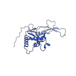 21233_6vlz_N_v1-1
Structure of the human mitochondrial ribosome-EF-G1 complex (ClassI)