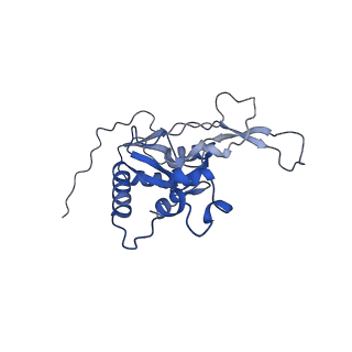 21233_6vlz_N_v1-2
Structure of the human mitochondrial ribosome-EF-G1 complex (ClassI)