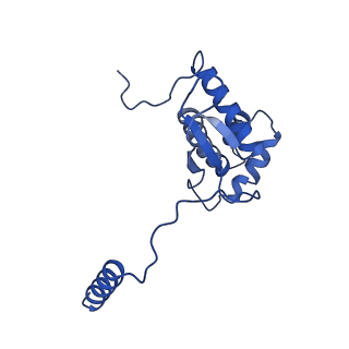 21233_6vlz_O_v1-2
Structure of the human mitochondrial ribosome-EF-G1 complex (ClassI)