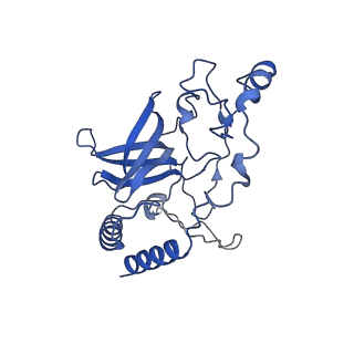 21233_6vlz_Q_v1-2
Structure of the human mitochondrial ribosome-EF-G1 complex (ClassI)