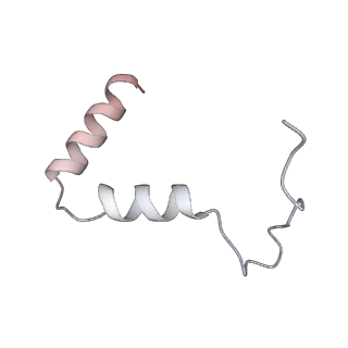 21233_6vlz_TA_v1-1
Structure of the human mitochondrial ribosome-EF-G1 complex (ClassI)