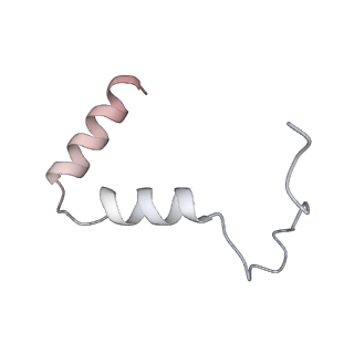 21233_6vlz_TA_v1-2
Structure of the human mitochondrial ribosome-EF-G1 complex (ClassI)