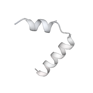 21233_6vlz_TB_v1-2
Structure of the human mitochondrial ribosome-EF-G1 complex (ClassI)