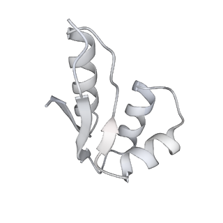 21233_6vlz_TC_v1-1
Structure of the human mitochondrial ribosome-EF-G1 complex (ClassI)