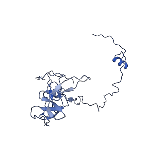 21233_6vlz_V_v1-1
Structure of the human mitochondrial ribosome-EF-G1 complex (ClassI)