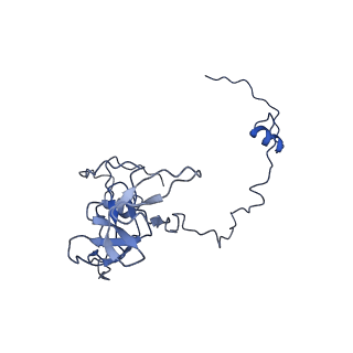 21233_6vlz_V_v1-2
Structure of the human mitochondrial ribosome-EF-G1 complex (ClassI)