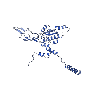 21233_6vlz_X_v1-1
Structure of the human mitochondrial ribosome-EF-G1 complex (ClassI)