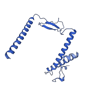 21233_6vlz_Y_v1-1
Structure of the human mitochondrial ribosome-EF-G1 complex (ClassI)