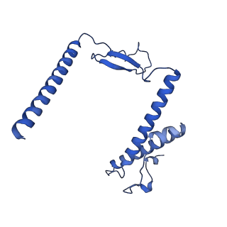 21233_6vlz_Y_v1-2
Structure of the human mitochondrial ribosome-EF-G1 complex (ClassI)