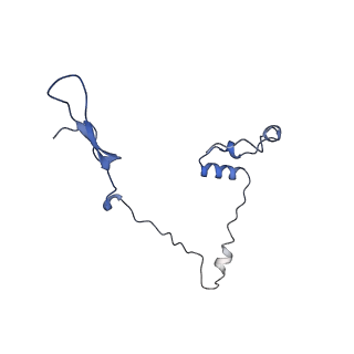 21233_6vlz_a_v1-2
Structure of the human mitochondrial ribosome-EF-G1 complex (ClassI)