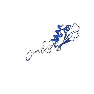 21233_6vlz_b_v1-2
Structure of the human mitochondrial ribosome-EF-G1 complex (ClassI)