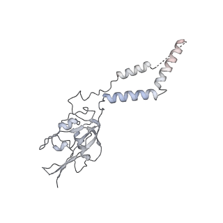 21233_6vlz_e_v1-1
Structure of the human mitochondrial ribosome-EF-G1 complex (ClassI)