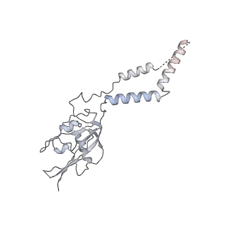 21233_6vlz_e_v1-2
Structure of the human mitochondrial ribosome-EF-G1 complex (ClassI)