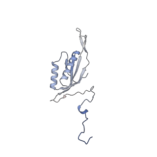 21233_6vlz_f_v1-1
Structure of the human mitochondrial ribosome-EF-G1 complex (ClassI)