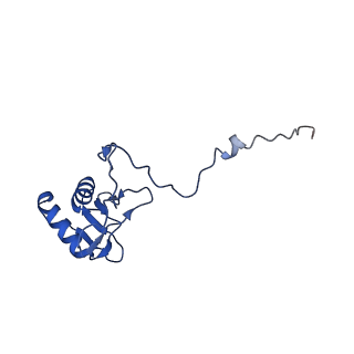 21233_6vlz_g_v1-1
Structure of the human mitochondrial ribosome-EF-G1 complex (ClassI)