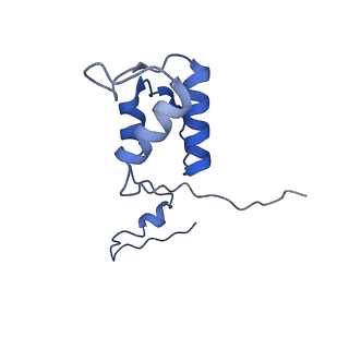 21233_6vlz_h_v1-1
Structure of the human mitochondrial ribosome-EF-G1 complex (ClassI)