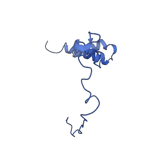 21233_6vlz_i_v1-1
Structure of the human mitochondrial ribosome-EF-G1 complex (ClassI)