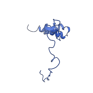 21233_6vlz_i_v1-2
Structure of the human mitochondrial ribosome-EF-G1 complex (ClassI)