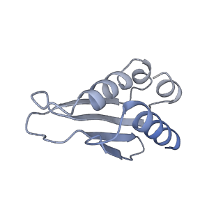 21233_6vlz_k_v1-1
Structure of the human mitochondrial ribosome-EF-G1 complex (ClassI)