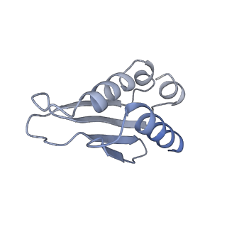 21233_6vlz_k_v1-2
Structure of the human mitochondrial ribosome-EF-G1 complex (ClassI)