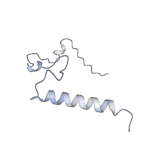 21233_6vlz_l_v1-2
Structure of the human mitochondrial ribosome-EF-G1 complex (ClassI)