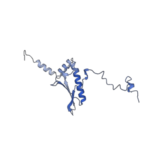 21233_6vlz_p_v1-1
Structure of the human mitochondrial ribosome-EF-G1 complex (ClassI)