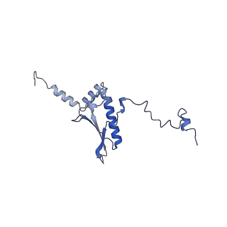 21233_6vlz_p_v1-2
Structure of the human mitochondrial ribosome-EF-G1 complex (ClassI)