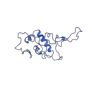 21233_6vlz_r_v1-1
Structure of the human mitochondrial ribosome-EF-G1 complex (ClassI)