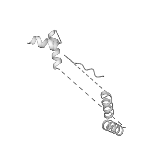 21233_6vlz_u_v1-2
Structure of the human mitochondrial ribosome-EF-G1 complex (ClassI)