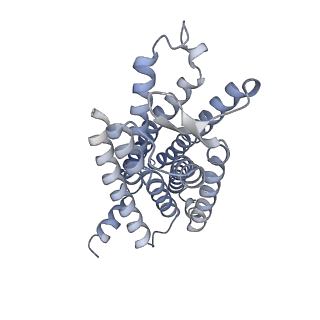 32020_7vl8_R_v1-0
Cryo-EM structure of the Apo CCR1-Gi complex