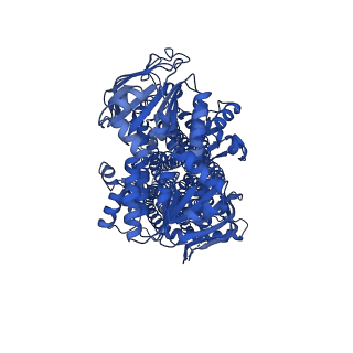 32024_7vlr_A_v1-1
Structure of SUR2B in complex with Mg-ATP/ADP