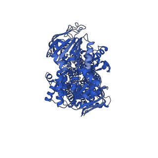 32025_7vls_A_v1-1
Structure of SUR2B in complex with MgATP/ADP and P1075