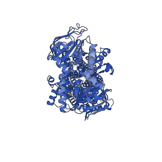 32026_7vlt_A_v1-1
Structure of SUR2B in complex with Mg-ATP/ADP and levcromakalim