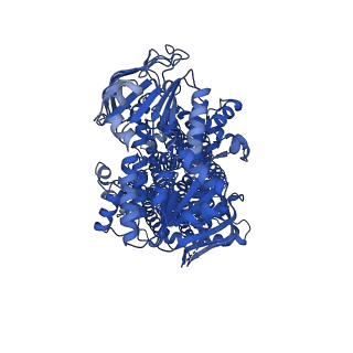 32027_7vlu_A_v1-1
Structure of SUR2A in complex with Mg-ATP/ADP and P1075