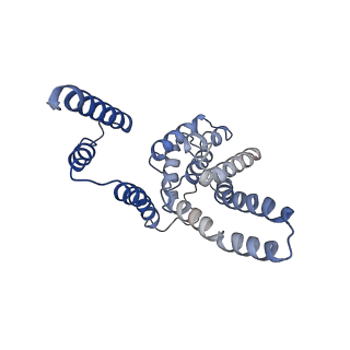 32030_7vlx_A_v1-3
Cryo-EM structures of Listeria monocytogenes man-PTS