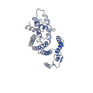 32030_7vlx_D_v1-3
Cryo-EM structures of Listeria monocytogenes man-PTS