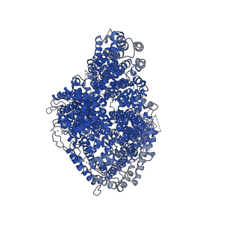 43347_8vlx_A_v1-1
HTT in complex with HAP40 and a small molecule.