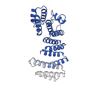 43347_8vlx_B_v1-1
HTT in complex with HAP40 and a small molecule.