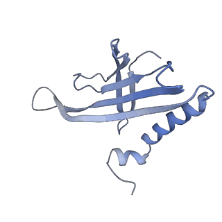 8709_5vlz_AA_v1-4
Backbone model for phage Qbeta capsid