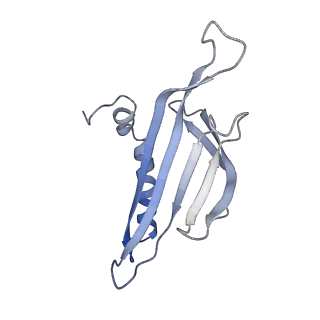 8709_5vlz_AB_v1-4
Backbone model for phage Qbeta capsid