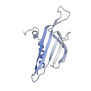 8709_5vlz_AB_v1-5
Backbone model for phage Qbeta capsid