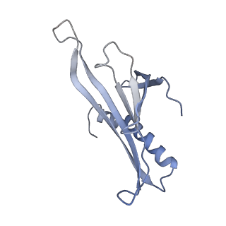 8709_5vlz_AD_v1-4
Backbone model for phage Qbeta capsid