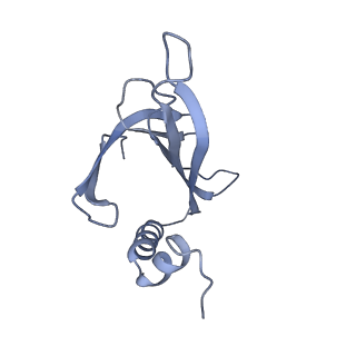 8709_5vlz_AF_v1-4
Backbone model for phage Qbeta capsid