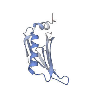 8709_5vlz_AG_v1-4
Backbone model for phage Qbeta capsid
