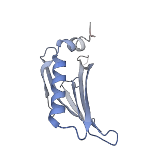 8709_5vlz_AG_v1-5
Backbone model for phage Qbeta capsid