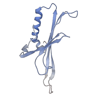 8709_5vlz_AH_v1-4
Backbone model for phage Qbeta capsid