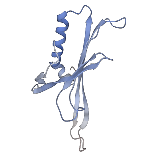 8709_5vlz_AH_v1-5
Backbone model for phage Qbeta capsid