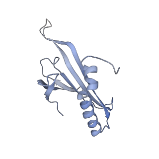 8709_5vlz_AI_v1-4
Backbone model for phage Qbeta capsid